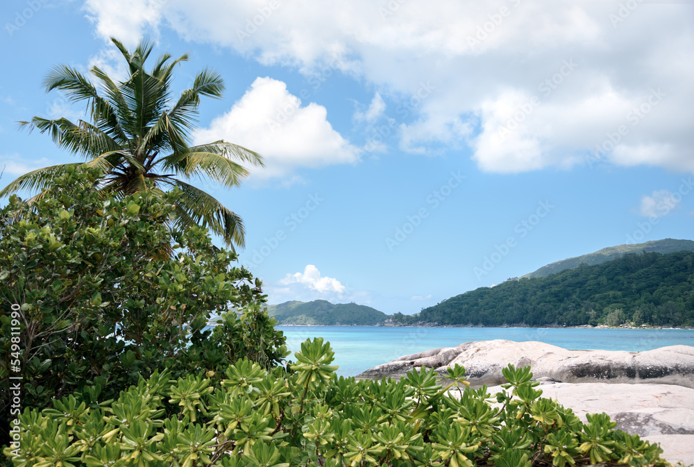 Beautiful tropical beach with palm trees at Seychelles