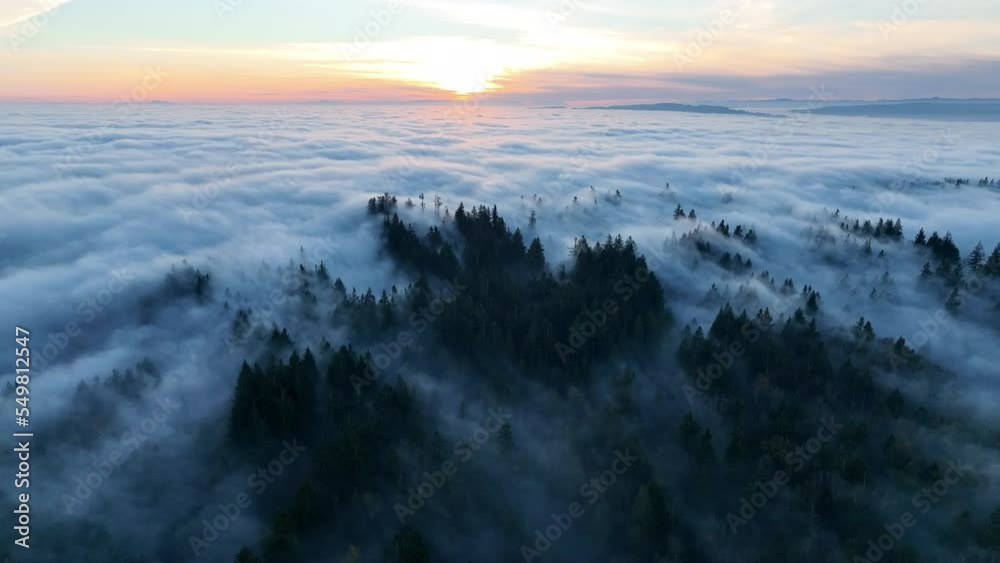 As the sun begins to set, dense fog rolls over cedar and fir trees covering the many hills surrounding Portland, Oregon. Temperate forests thrive in the Pacific Northwest due to the moist climate. As the sun begins to set, dense fog rolls over cedar and fir trees covering the many hills surrounding Portland, Oregon. Temperate forests thrive in the Pacific Northwest due to the moist climate.