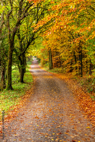 Herbstliche Entdeckungstour durch den Thüringer Wald bei Steinbach-Hallenberg - Thüringen © Oliver Hlavaty