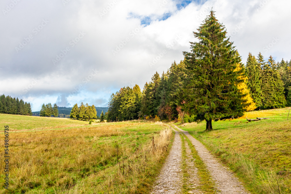 Herbstliche Entdeckungstour durch den Thüringer Wald bei Steinbach-Hallenberg - Thüringen Herbstliche Entdeckungstour durch den Thüringer Wald bei Steinbach-Hallenberg - Thüringen