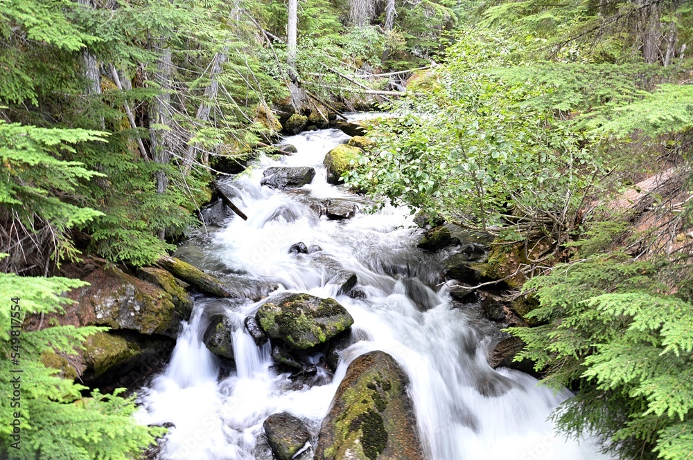 waterfall in the forest