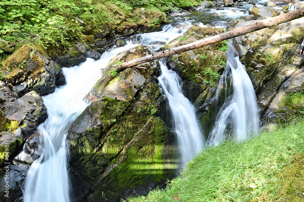 Obraz premium waterfall in the Olympic forest