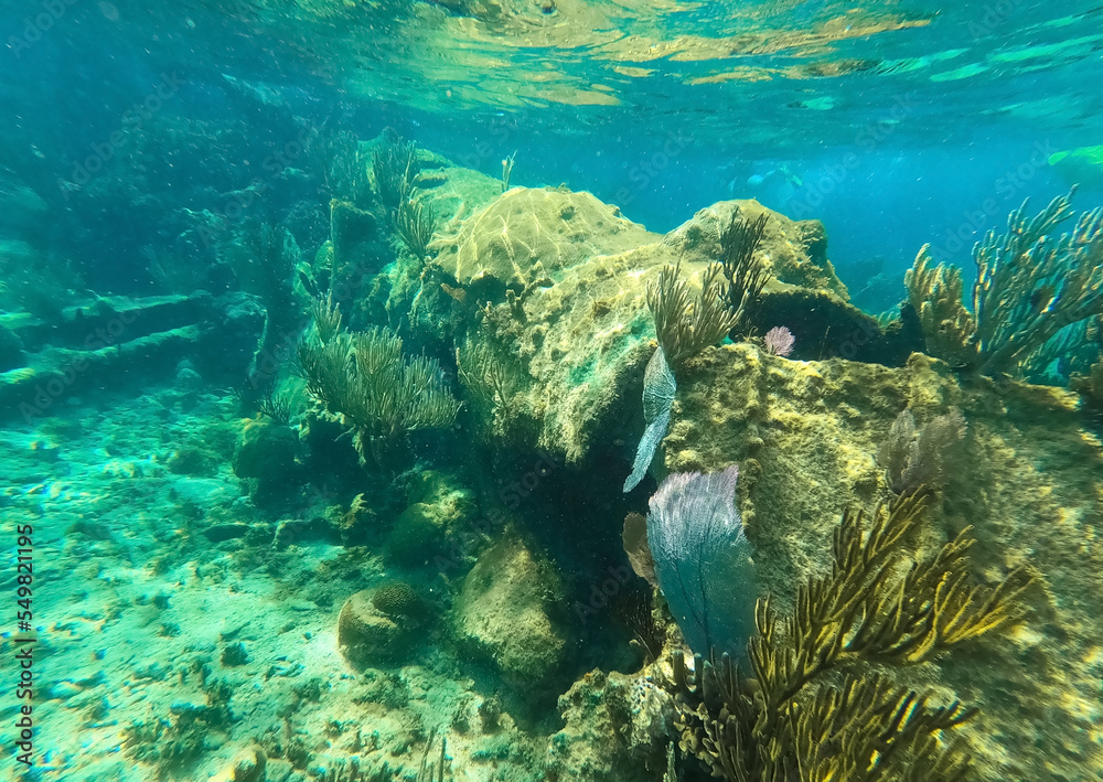 Fototapeta premium Sunken ship under the sea. Beautifiul underwater colorful coral reef at Caribbean Sea at Honeymoon Beach on St. Thomas, USVI - travel concept