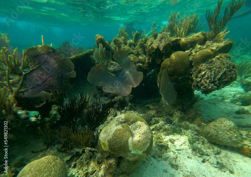 Sunken ship under the sea. Beautifiul underwater colorful coral reef at Caribbean Sea at Honeymoon Beach on St. Thomas  USVI - travel concept