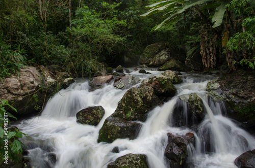 Photo of a waterfall in the forest
