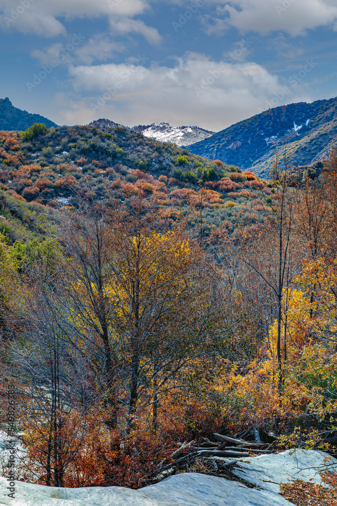 Fototapeta premium Autumn Along Brush Creek 3
