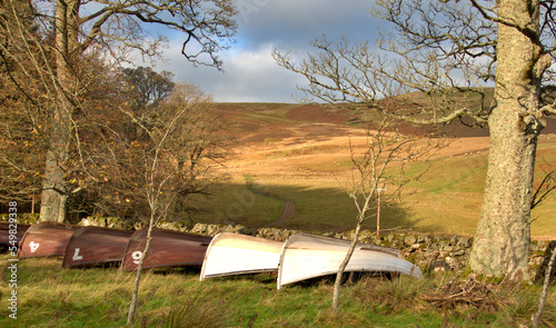 Fishing boats