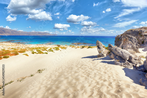 Mediterranean seashore  landscape in summer