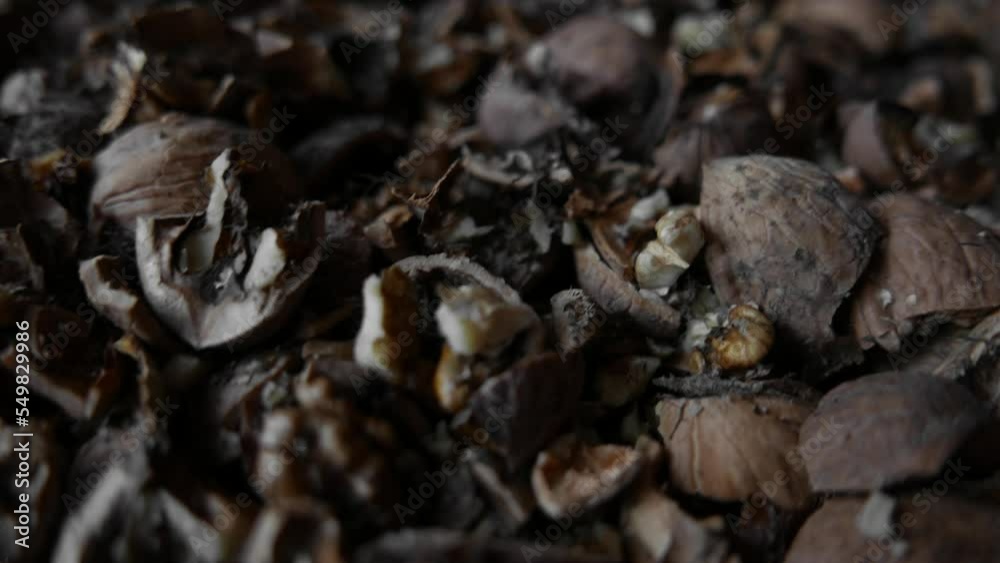 Broken black walnuts inside close-up Broken black walnuts inside close-up