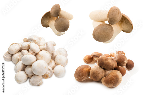 Eringi mushrooms isolated on white background.