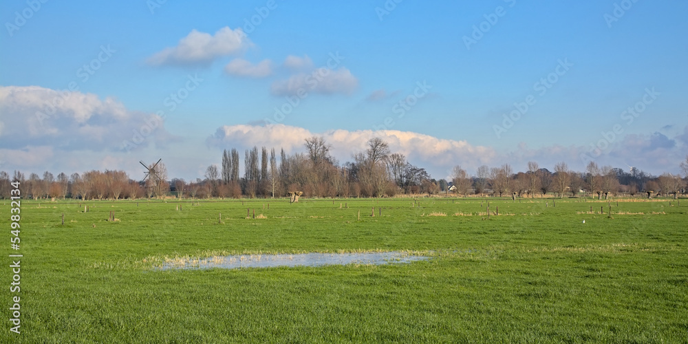 Winter wetlands in the Flemish countryside, with meadow and forest