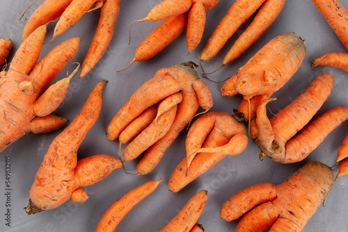 Many Deformed conjoined carrots, close-up. Ugly vegetables abnormal shape. Curved funny carrots. Concept - Food waste reduction. Using in cooking imperfect products photo