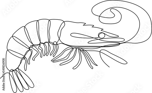 Shrimp continuous line drawing vector