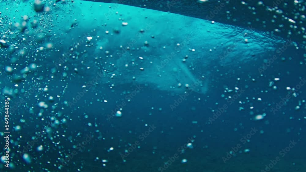 Woman surfs the tropical wave in the Maldives. Camera goes underwater and reveals view of the rider through the glassy wave