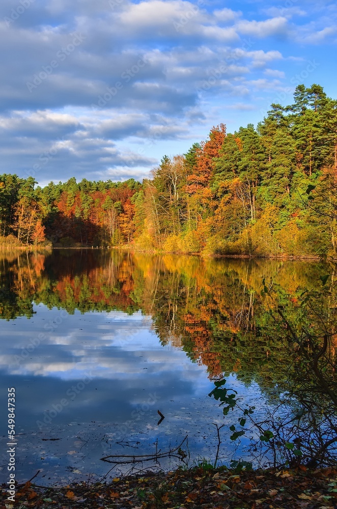 Autumn scene by the water. Colorful trees reflecting in a beautiful pond.