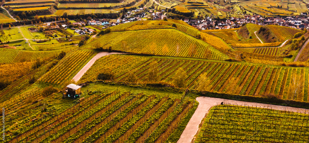 German wine culture landscape in autumn most beautiful hiking areas German wine culture landscape in autumn most beautiful hiking areas