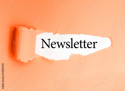 Word Newsletter on a white background of torn colored paper.