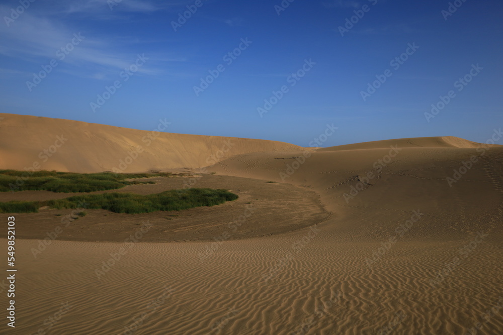 The Maspalomas dunes are sand dunes located on the southern coast of the island of Gran Canaria in the Canary Islands