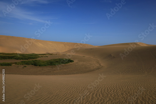 The Maspalomas dunes are sand dunes located on the southern coast of the island of Gran Canaria in the Canary Islands