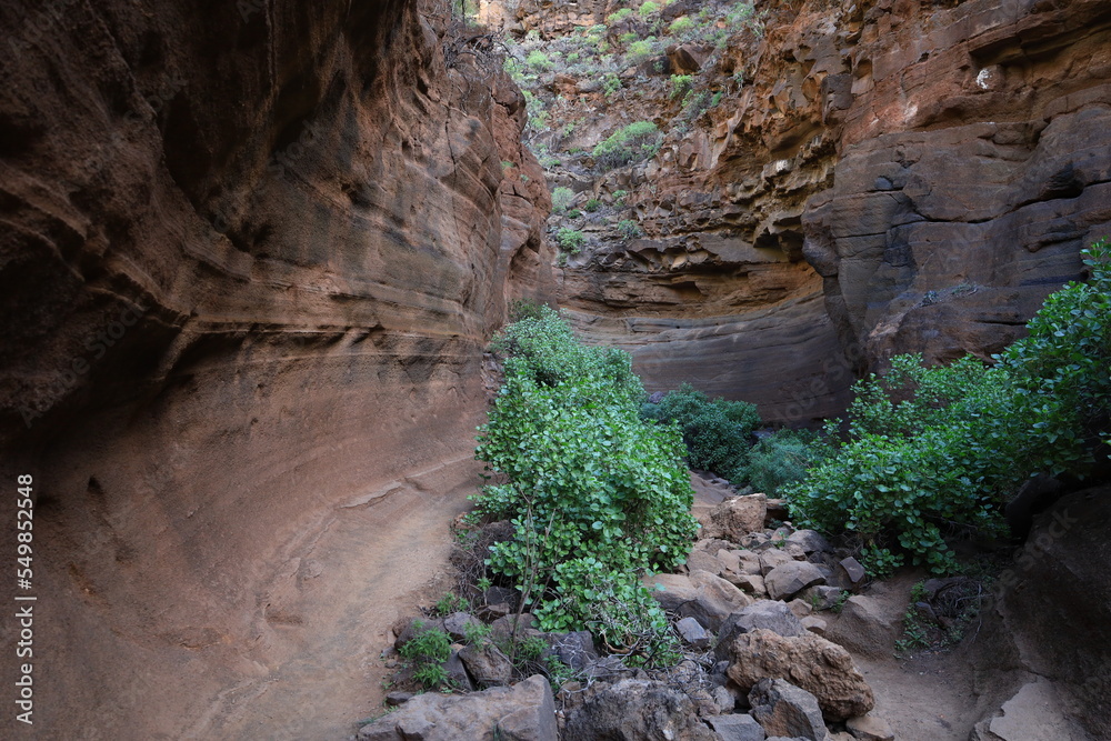 Fototapeta premium View in the Cow Gorge in center of Gran Canaria