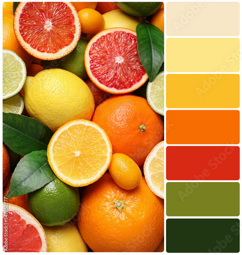 Fototapeta Naklejka Na Ścianę i Meble -  Different ripe citrus fruits and color palette. Collage
