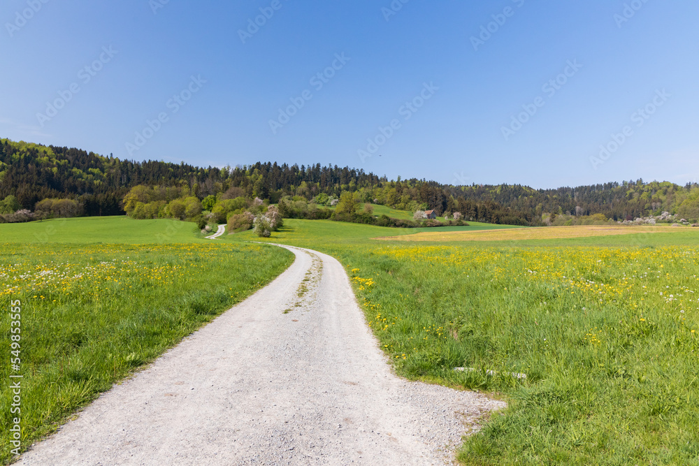 Gravel road with green field and farm fields in the background in the German countryside
Gravel road with green field and farm fields in the background in the German countryside