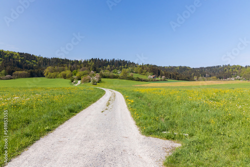 Gravel road with green field and farm fields in the background in the German countryside 