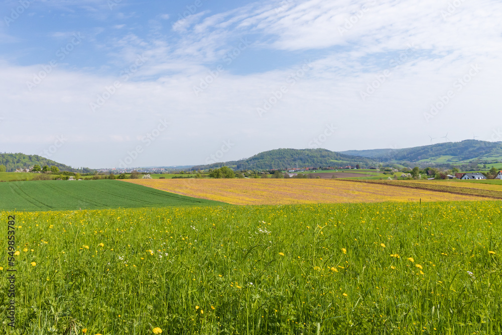 Green field with farm fields in the background in the German countryside