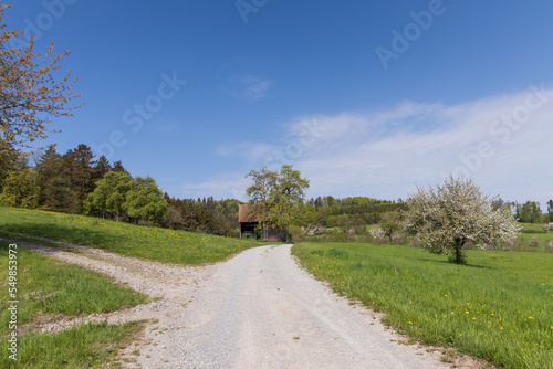 Gravel road to an old wooden Barn in Germany