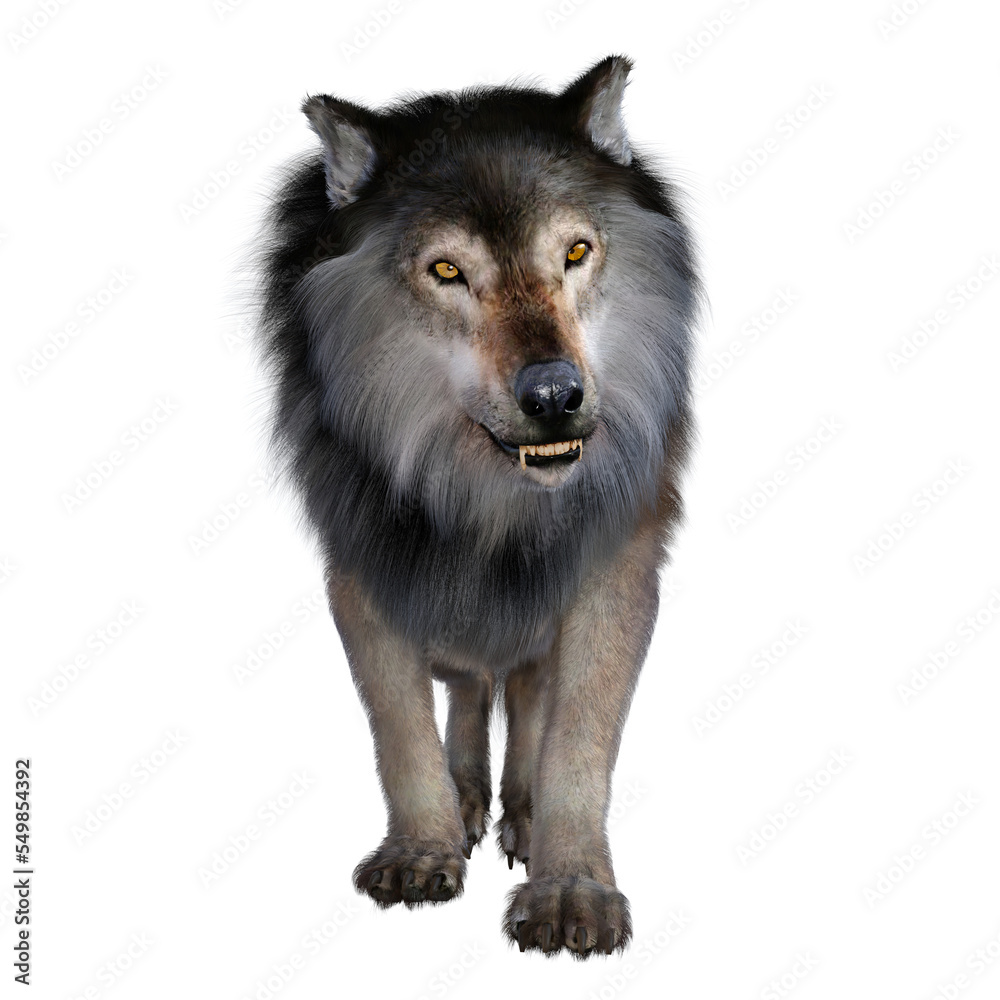 Dire Wolf Growling The carnivorous Dire Wolf lived in North and South