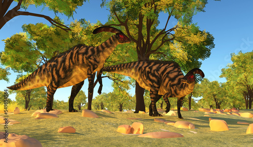 Fototapeta Naklejka Na Ścianę i Meble -  Parasaurolophus under the Trees - Herbivorous Hadrosaurs called Parasaurolophus dinosaurs lived during the Cretaceous Period of North America.