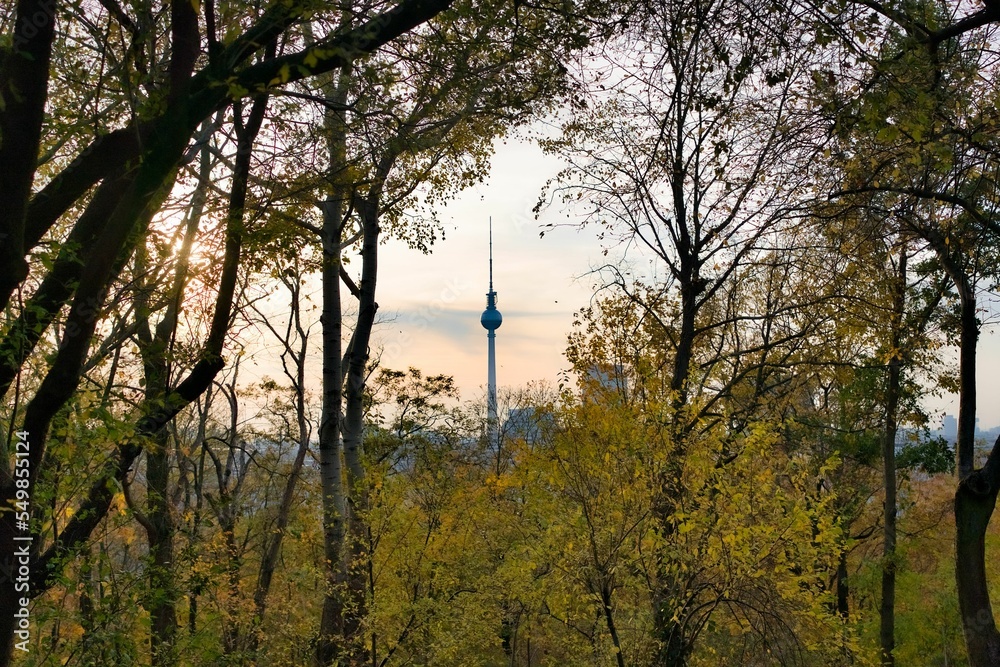 Obraz premium Berlin TV Tower from a forest