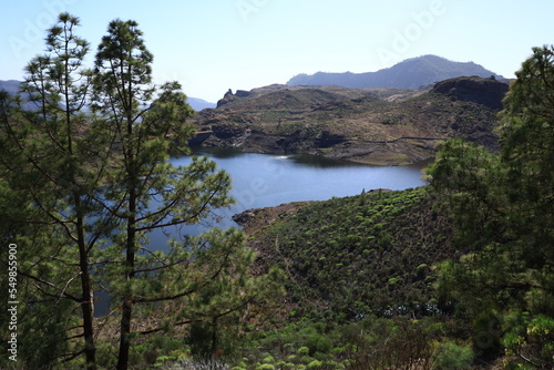 View on the lake of Presa De Las Ni  as in Gran Canaria 