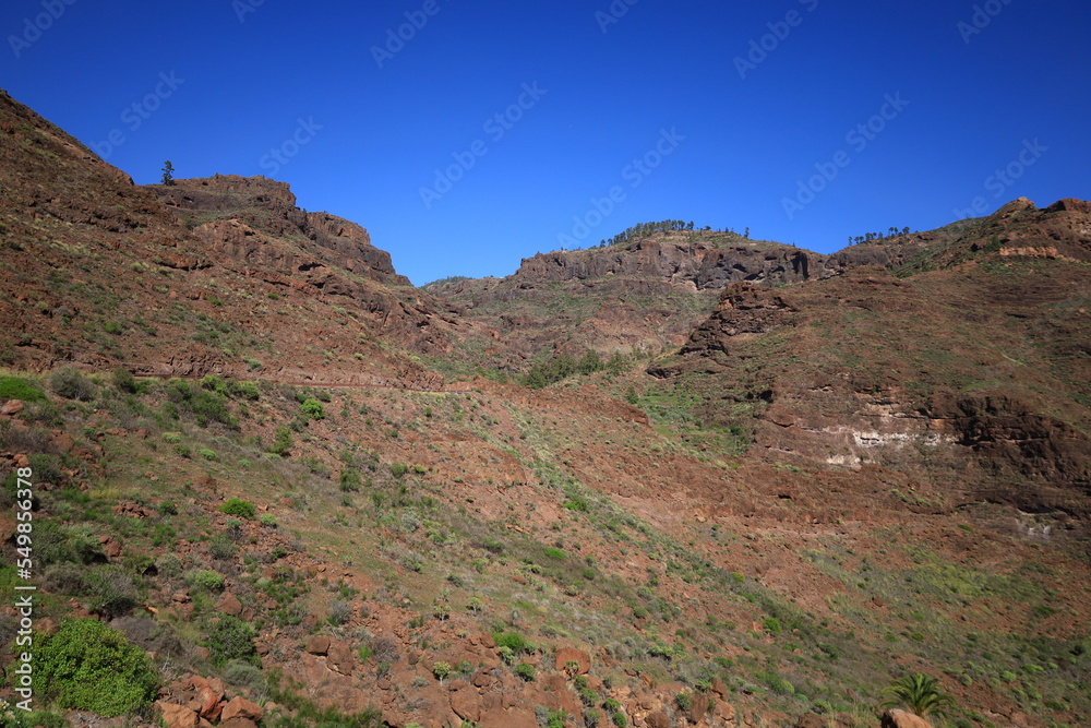 View on a mountain in the Pilancones Natural Park of Gran Canaria View on a mountain in the Pilancones Natural Park of Gran Canaria