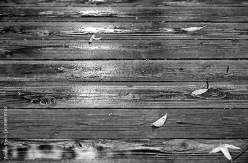 Texture of wet boards, water drops. Natural wood. Black White variant.