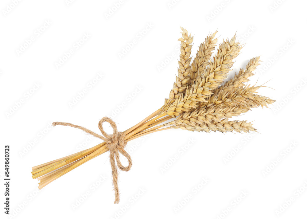 Bunch of dried wheat on white background, top view Bunch of dried wheat on white background, top view