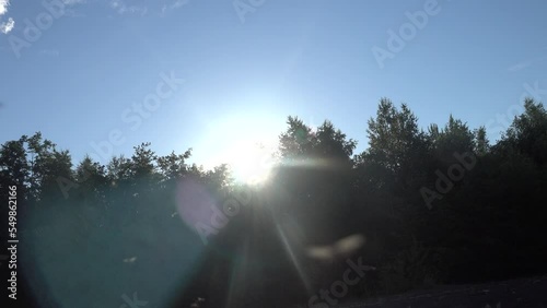 A lot of mosquitoes attack a person at sunset. Northern nature and traveler's discomfort photo