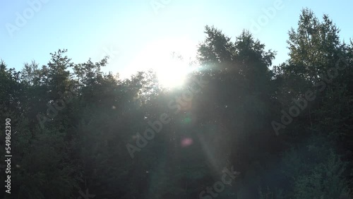 A lot of mosquitoes attack a person at sunset. Northern nature and traveler's discomfort photo