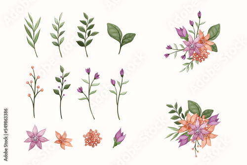 set botanic blossom floral elements. Branches  leaves  herbs  wild plants  flowers. Garden  meadow  field collection leaf  foliage  branches. Bloom vector illustration isolated on white background
