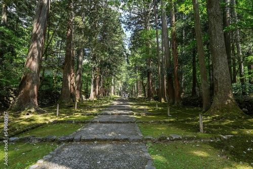 静寂に包まれた春の神社の参道の情景＠福井