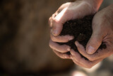Men's hands love soil for planting trees, World Soil Day.