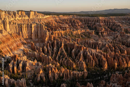 Morning Light Across The Amphitheater In Bryce Canyon