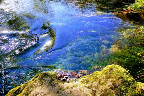 river in the forest