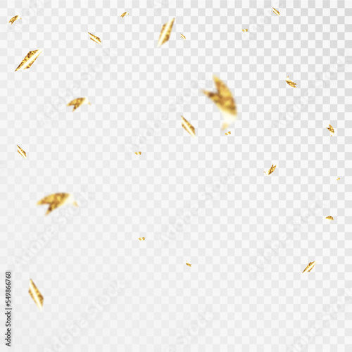 Gold confetti falls. confetti, streamer, tinsel on a transparent background for design and congratulations.Vector 