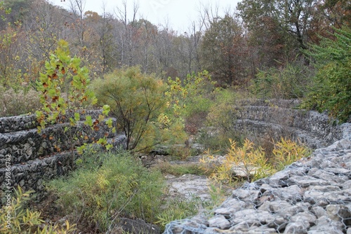 stream in the mountains