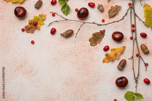 Composition with autumn dry leaves, acorns, chestnuts, branch and red berries on color background, flat lay. Space for text