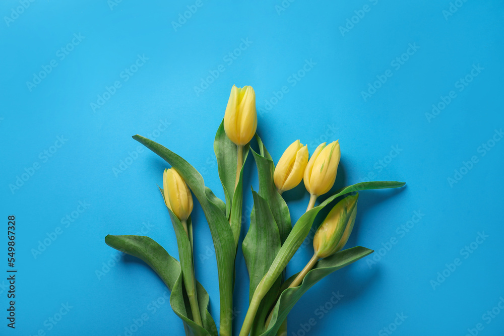 Naklejka premium Many beautiful tulips on blue background, flat lay