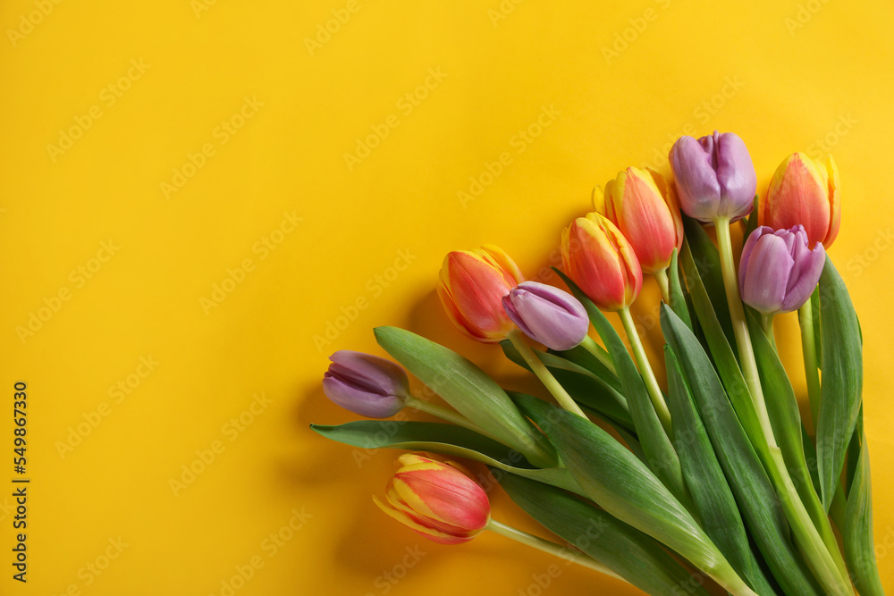 Many beautiful tulips on yellow background, flat lay. Space for text Many beautiful tulips on yellow background, flat lay. Space for text