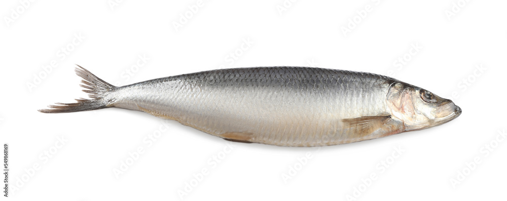 Whole delicious salted herring isolated on white Whole delicious salted herring isolated on white