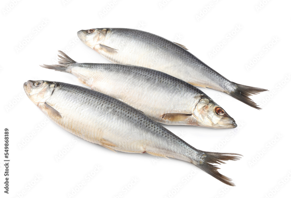 Whole delicious salted herrings isolated on white Whole delicious salted herrings isolated on white
